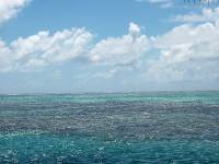 moorea sky 2 
